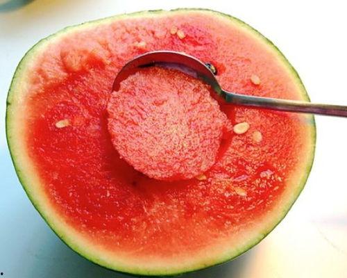 什么瓜不能挂着吃,为何某些瓜类不宜悬挂食用