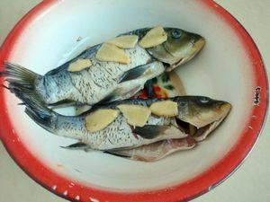 小鸡瓜鱼怎么吃怎么做,家常做法大揭秘