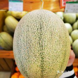 沙地蜜瓜可以吃吗,美味可口的天然甜品