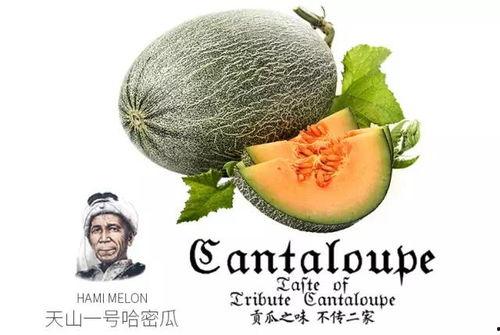 吃瓜的压力有多强,揭秘吃瓜群众的内心挣扎