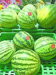 吃的假瓜,揭秘市场上那些以假乱真的“美味”瓜果