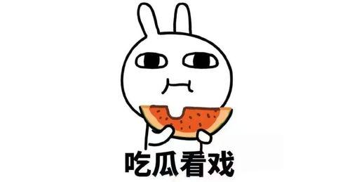 同学你吃瓜了吗,你吃瓜了吗？揭秘校园新鲜事