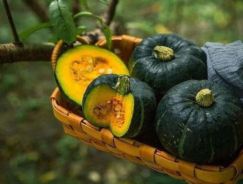 板栗瓜蒸怎么吃,家常蒸菜新尝试