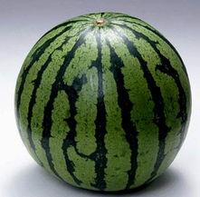 吃瓜群哪里有,吃瓜群聚集地,热门话题一网打尽