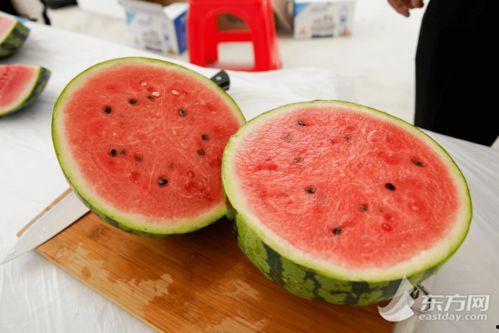 51吃瓜今日吃瓜上海,揭秘上海最新热点事件