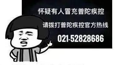 吃瓜小故事文案,一场吃瓜小故事的欢乐盛宴