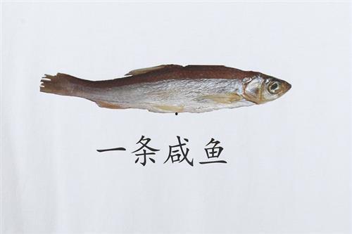 吃瓜咸鱼top1,探寻网络红人的崛起之路