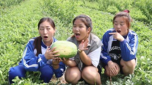 还有姐妹吃瓜吗,一起吃瓜!揭秘娱乐圈最新热点