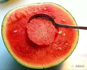 户外吃瓜勺,创意吃瓜勺,轻松享受夏日清凉时光