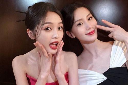 明星吃黑瓜事件,真相与争议并存